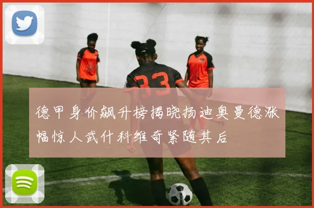 德甲身价飙升榜揭晓扬迪奥曼德涨幅惊人武什科维奇紧随其后