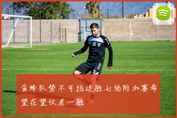 黄蜂队势不可挡连胜七场附加赛希望在望仅差一胜