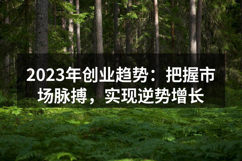 2023年创业趋势：把握市场脉搏，实现逆势增长