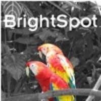 ImageElements BrightSpot